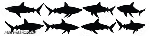 Shark silhouettes set, ocean pack of vector silhouette design, isolated background