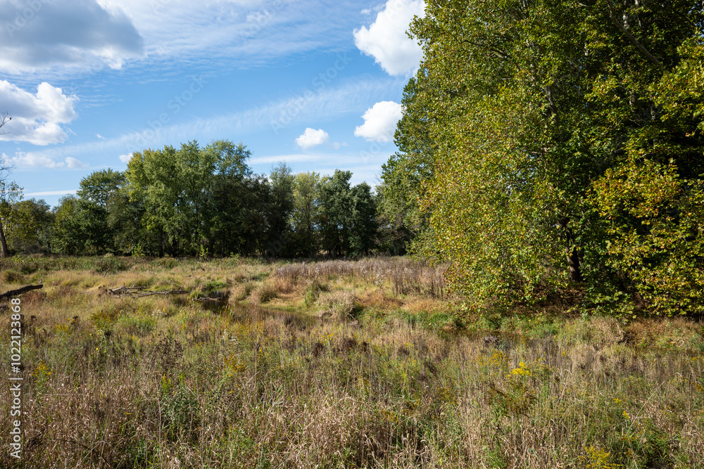 Obraz premium Stream, floodplain and wetland restoration along a small stream. It includes stabilizing and or altering the stream channel to slow and direct the flow of water to reduce erosion and flooding.