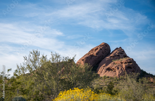 red rocks