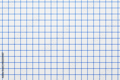 Detalle de una hoja de papel cuadriculado de una antigua libreta	