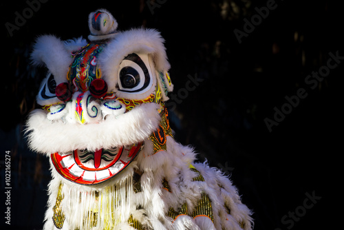 a traditional lion dance at a temple festival. photo