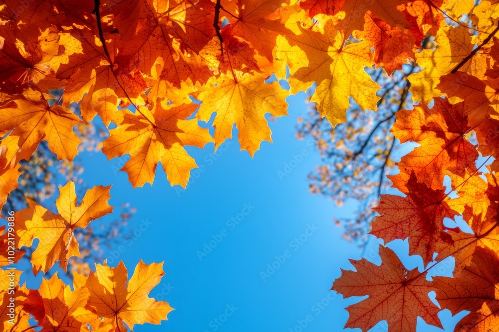 Fallen Leaves Season Background