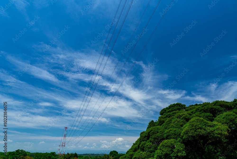 Obraz premium 夏の空
