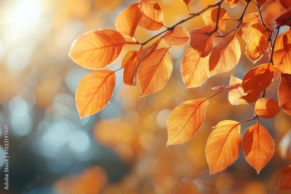 Fallen Leaves Season Background created with Generative AI Fallen Leaves Season Background created with Generative AI