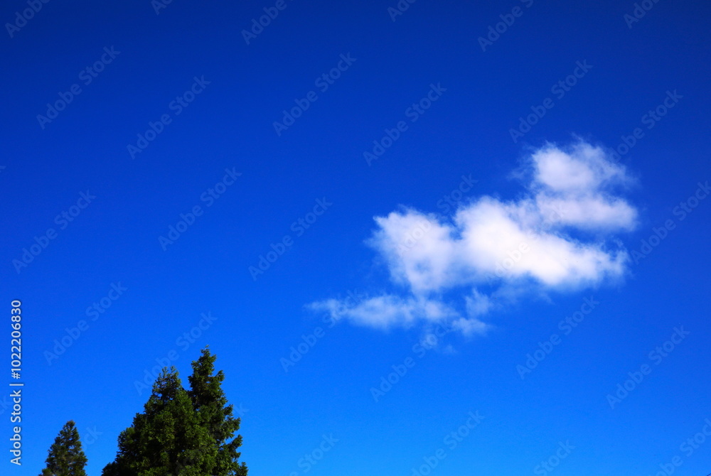 Obraz premium 青空に浮かぶ白い雲