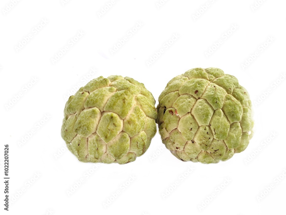 Fototapeta premium sugar apple or custard apple on white background. sweet fruit.