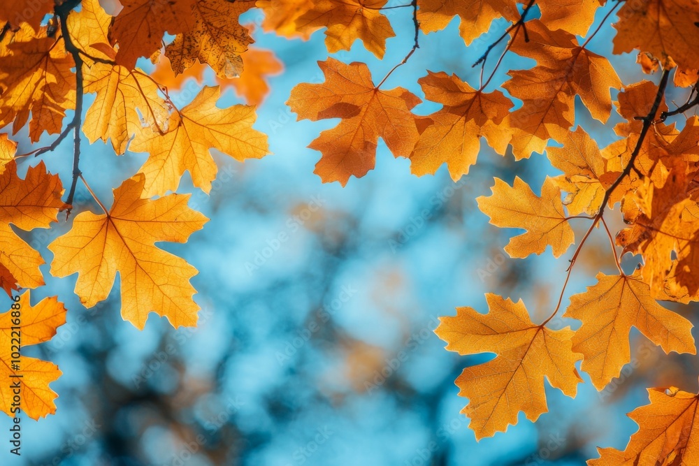 Fallen Leaves Season Background created with Generative AI Fallen Leaves Season Background created with Generative AI