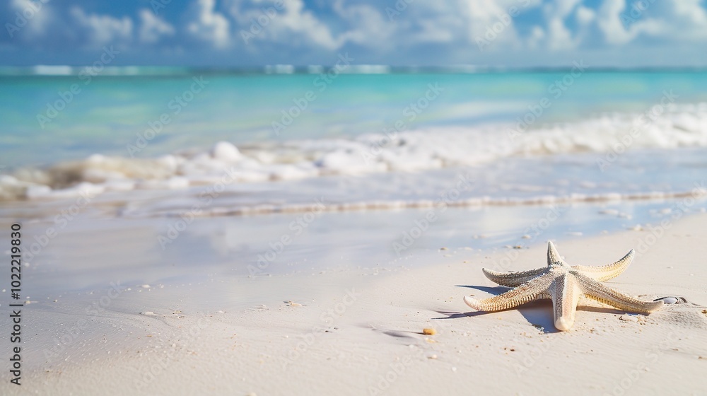 Beautiful Beach Background - a captivating and serene visual. The beautiful beach backdrop creates an enchanting and relaxing scene Beautiful Beach Background - a captivating and serene visual. The beautiful beach backdrop creates an enchanting and relaxing scene