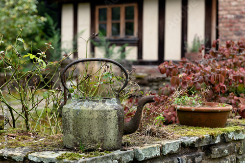 Rusty teapot used as pot for herbs in the garden