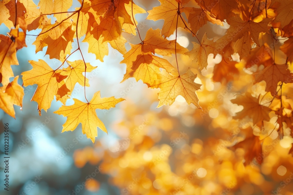 Fallen Leaves Season Background created with Generative AI Fallen Leaves Season Background created with Generative AI