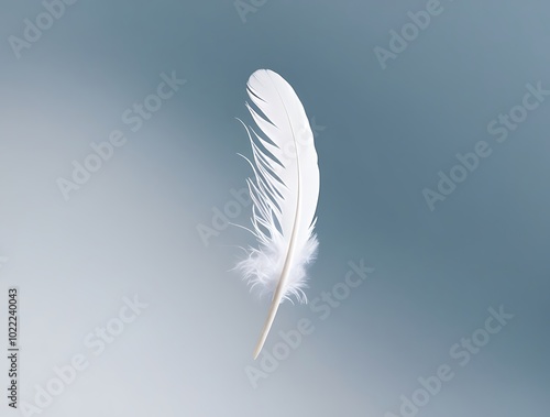 A depiction of a single white feather gracefully falling against a blue background, highlighting the softness of floating feathers (15) photo