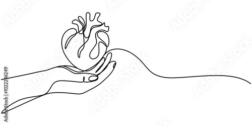 One continuous line. The hand holds a human heart. Medicine . Human heart in the surgeon's hand. Symbol of life and love. Blue hand red heart, One line silhouette healthcare collection. Vector linear