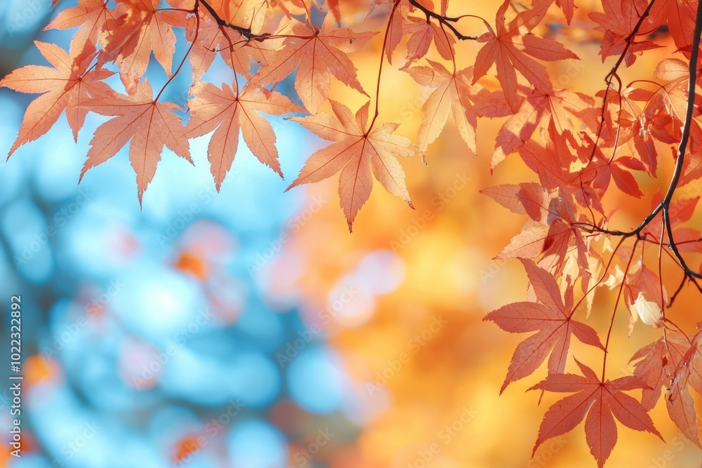 Fallen Leaves Season Background Fallen Leaves Season Background