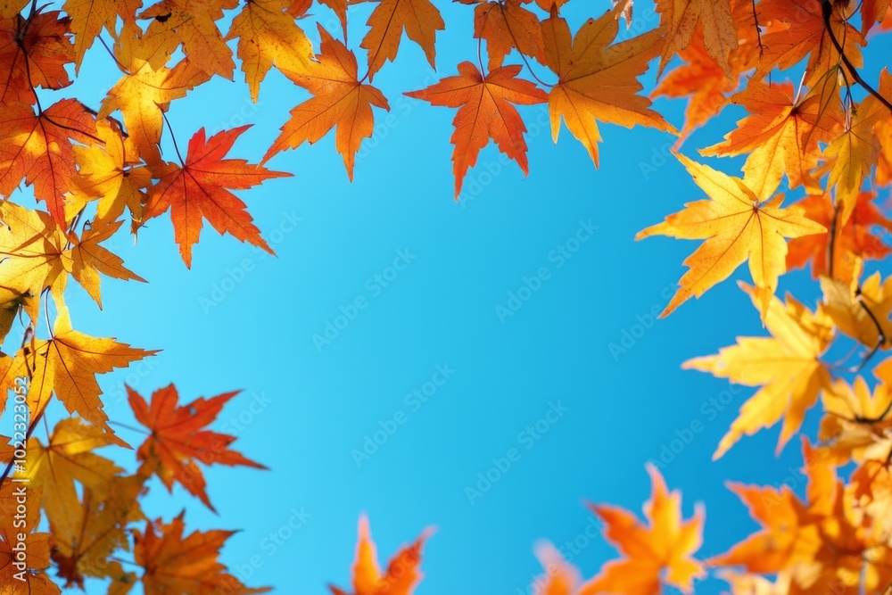 Fallen Leaves Season Background Fallen Leaves Season Background