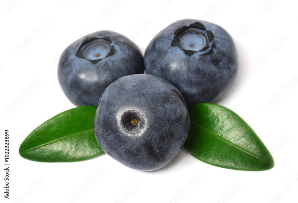 Blueberry macro with leaves isolated on white background Blueberry macro with leaves isolated on white background