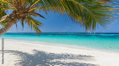 A captivating photograph showcasing the serene beauty of a tropical beach with crystal clear waters swaying palm trees and a picturesque coastal landscape