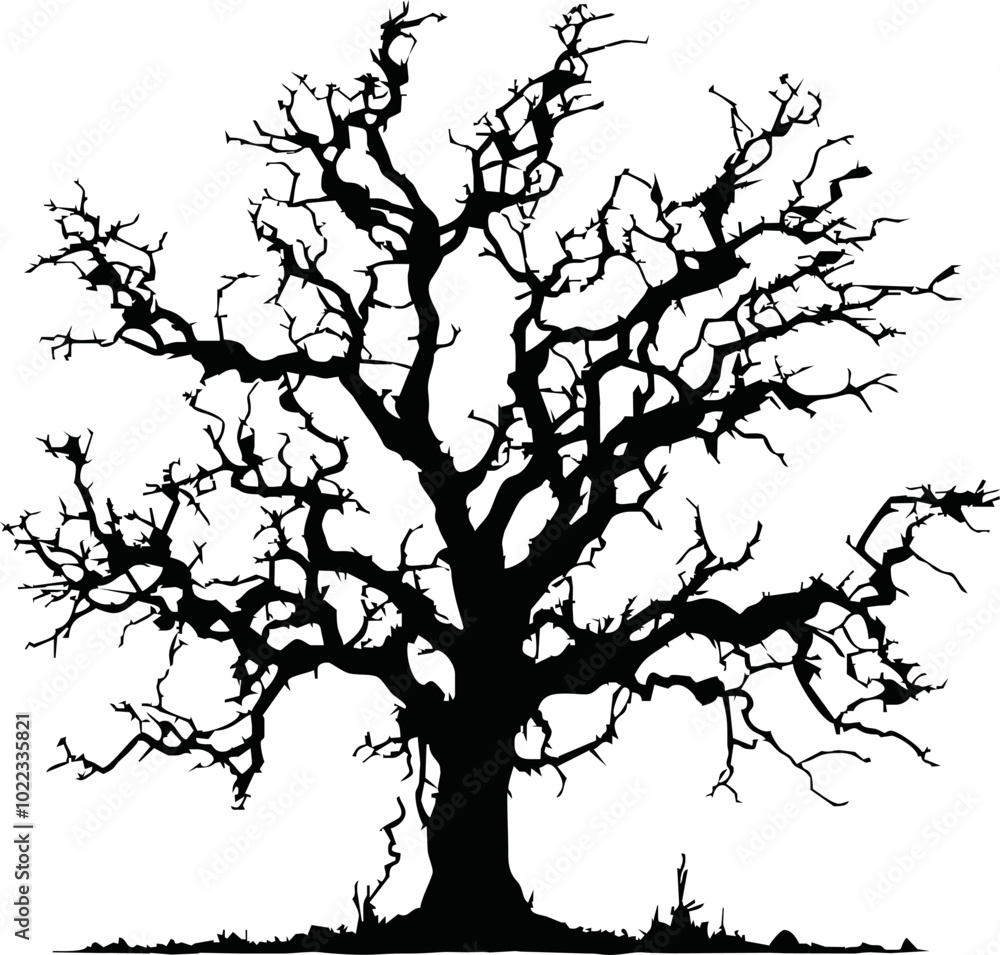 Fototapeta premium Old dry, bare tree. Black silhouette. Sketch hand drawn. Isolated on white background. Vector illustration
