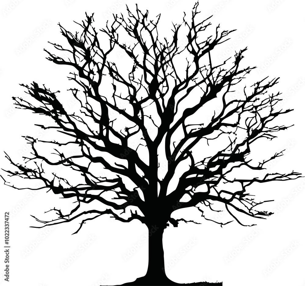 Fototapeta premium Old dry, bare tree. Black silhouette. Sketch hand drawn. Isolated on white background. Vector illustration