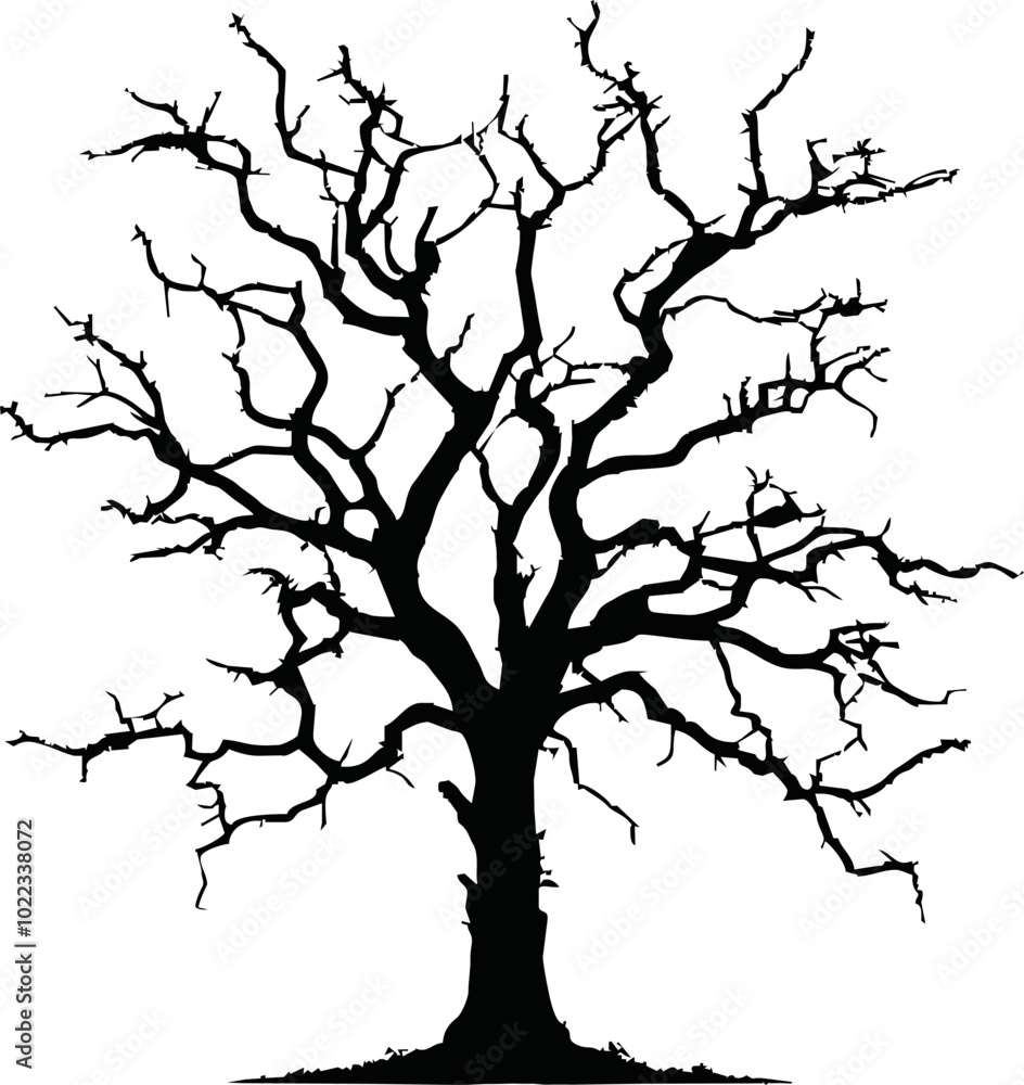 Old dry, bare tree. Black silhouette. Sketch hand drawn. Isolated on white background. Vector illustration Old dry, bare tree. Black silhouette. Sketch hand drawn. Isolated on white background. Vector illustration