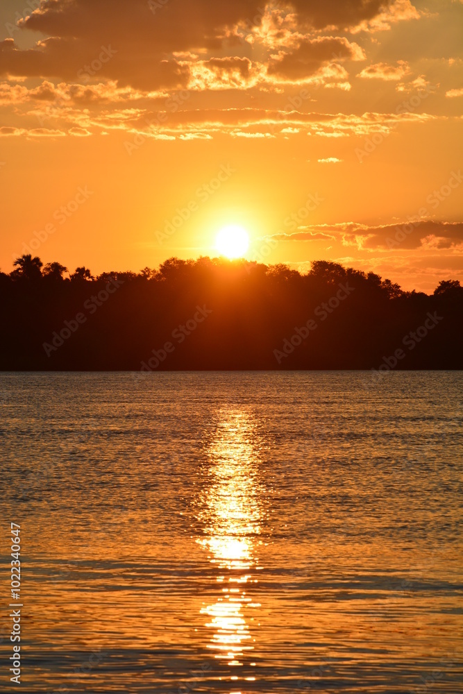 Obraz premium ザンベジ川の夕日