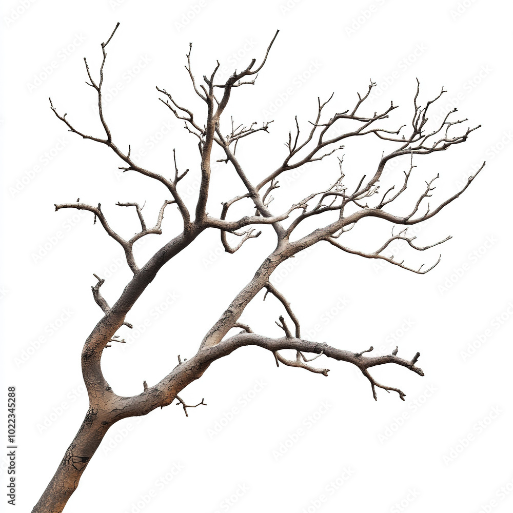 photo realistic of tree branch on white background photo realistic of tree branch on white background