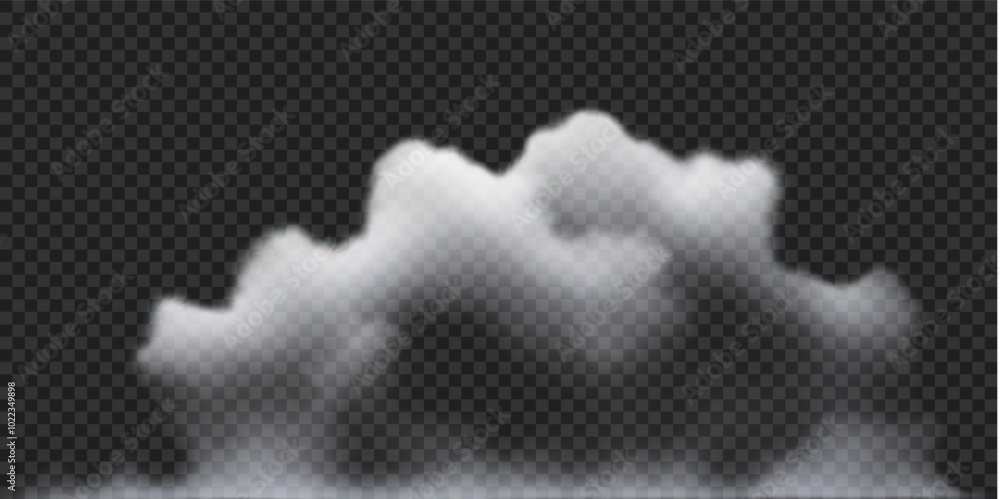 Water haze, smoke clouds, white fog. Vector realistic illustration. Spooky steam, smog, mist over river isolated on transparent backdrop Water haze, smoke clouds, white fog. Vector realistic illustration. Spooky steam, smog, mist over river isolated on transparent backdrop