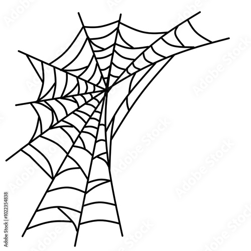 Spider web