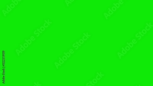 Pickleball Racquet Paddle Bat Beats Flying Ball - Close Up View - Green Screen Transition - Chroma Key - Realistic Full HD 3D animation for sport and leisure