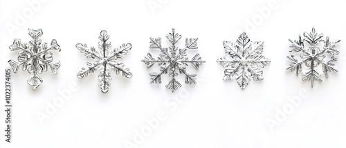 snow flakes in different shape. snow flakes on white background. 