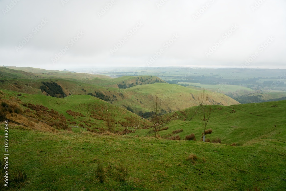 Fototapeta premium Green Fields on a Cloudy Day with Atmospheric Haze - Serene Landscape Photo