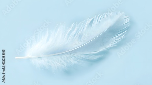 A single feather, softly floating in the air on a light blue background.