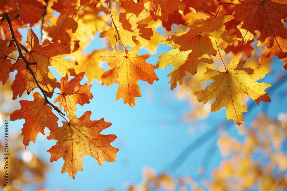 Fallen Leaves Season Background created with Generative AI Fallen Leaves Season Background created with Generative AI