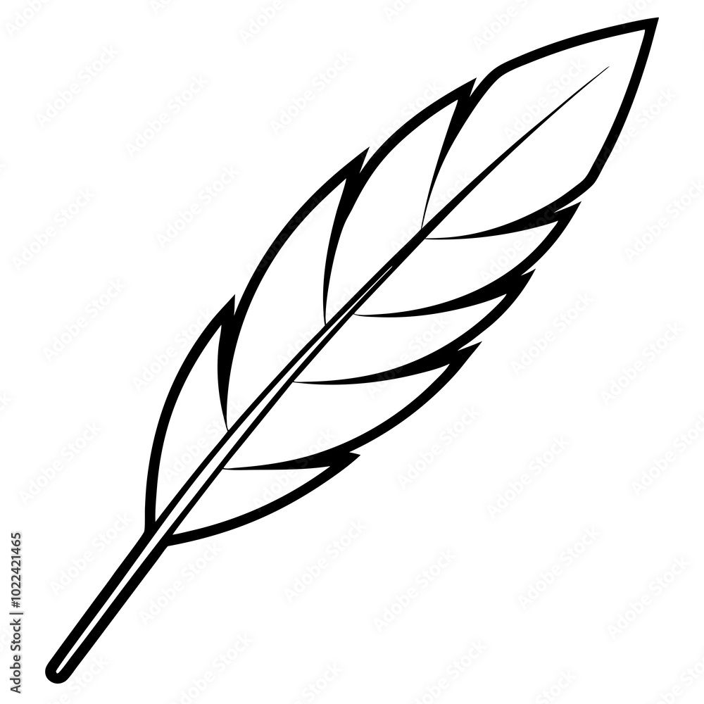 Obraz premium feather and ink