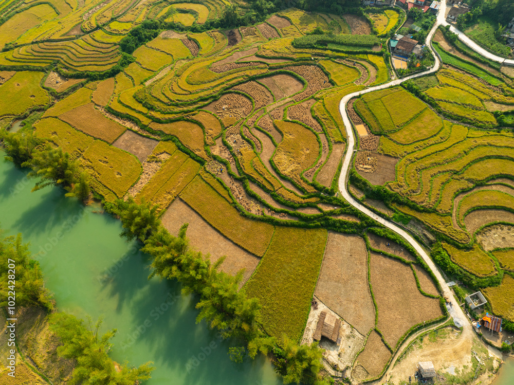 A stunning aerial view of a small rural village nestled on the banks of a winding river, surrounded by lush rice fields and natural waterfalls in a verdant landscape. A stunning aerial view of a small rural village nestled on the banks of a winding river, surrounded by lush rice fields and natural waterfalls in a verdant landscape.