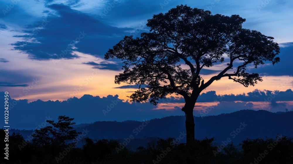 Black silhouette of a tree against a twilight sky, creating a moody and serene natural scene. Black silhouette of a tree against a twilight sky, creating a moody and serene natural scene.