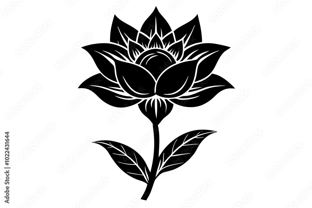 Fototapeta premium set of flowers