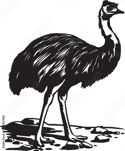 silhouette vector, and art style emu bird.