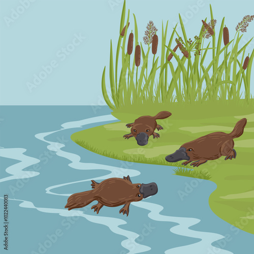 vector drawing landscape with river, plants and duck-billed platypus, cartoon animals, hand drawn illustration