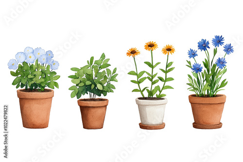 Wallpaper Mural Colorful Flower Pots with Vibrant Plants on Transparent Background Torontodigital.ca