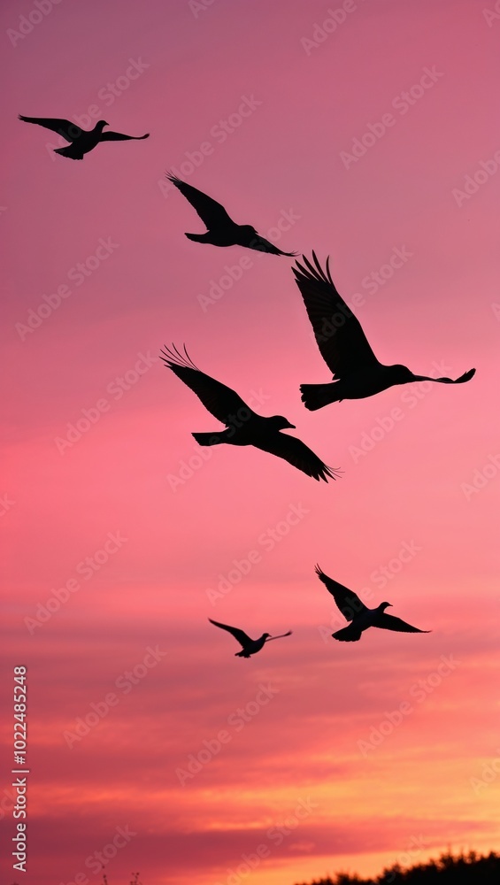 Birds flying across a pink and orange sunset sky background for invitation or card screensaver