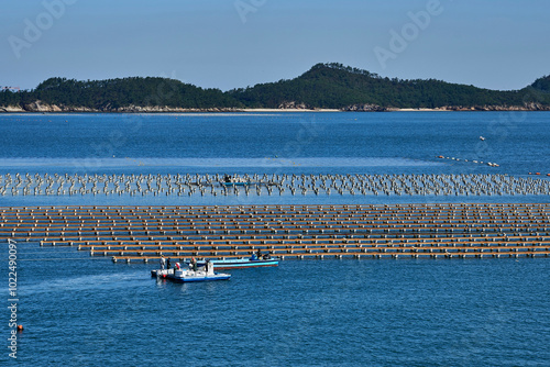 Seonyudo Island, Gunsan-si, Jeollabuk-do, Korea - October 9, 2019: Fishermen on fishing boats are working at the sea laver farm.                       photo