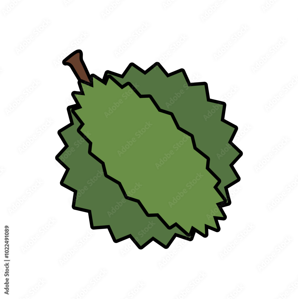 Durian Fruit Vector Icon. suitable for children's learning Durian Fruit Vector Icon. suitable for children's learning
