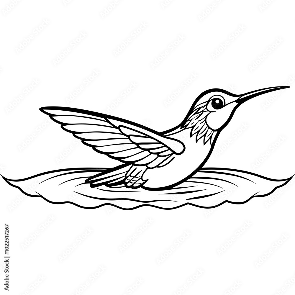 Fototapeta premium anna-s-hummingbird-swimming