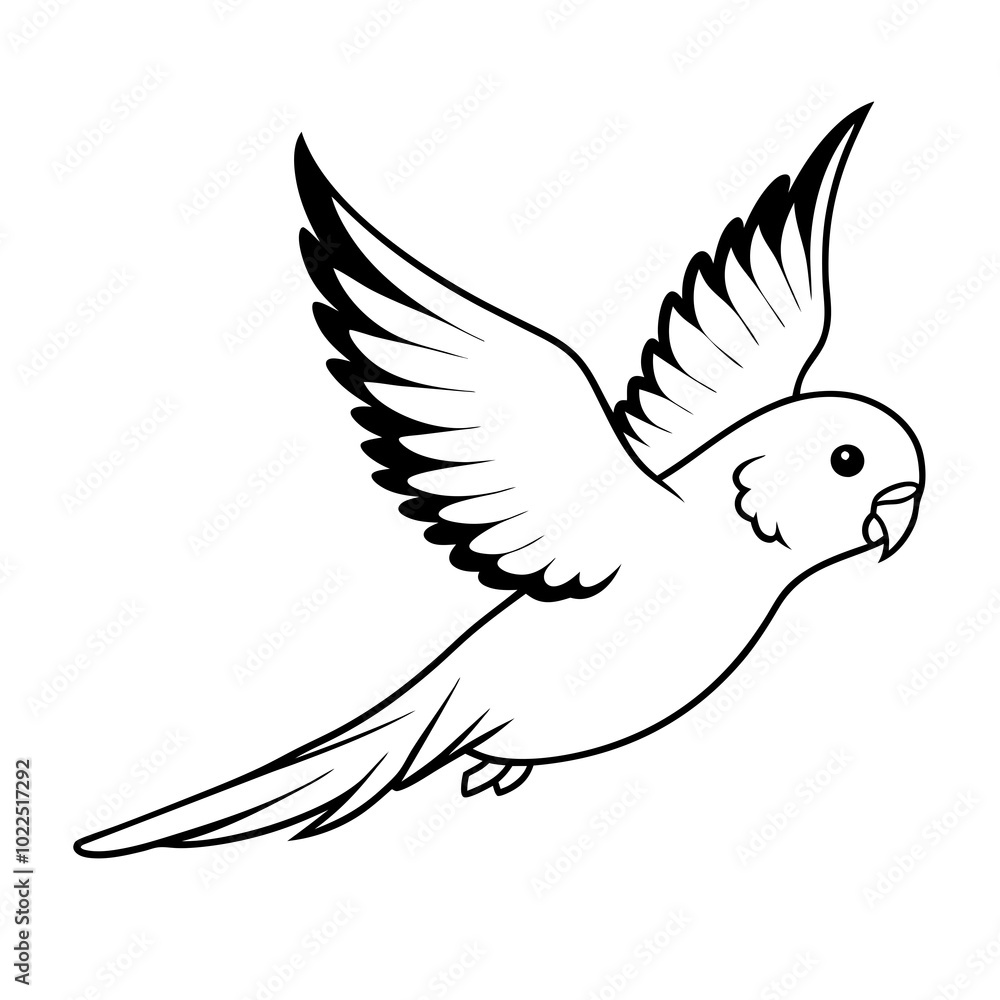 Obraz premium australian-budgerigar-flying