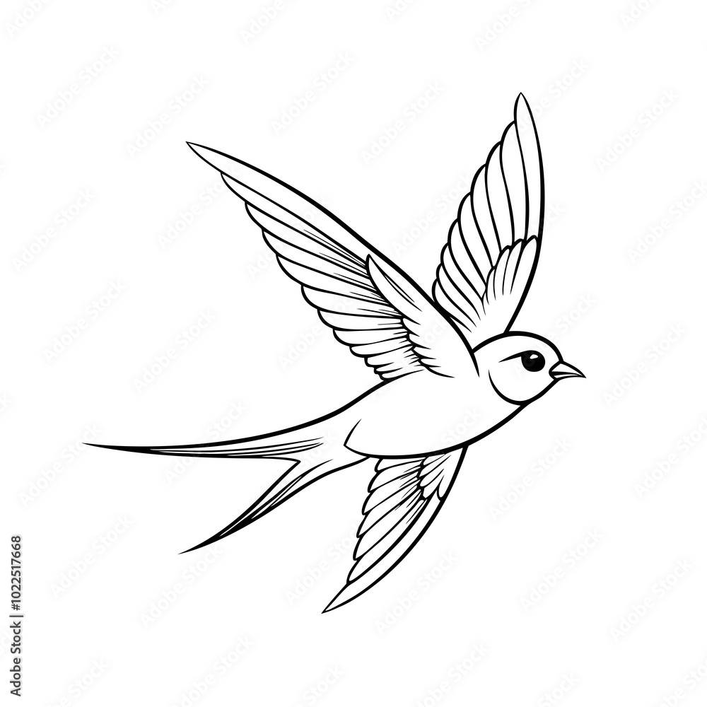 Obraz premium barn-swallow-jumping