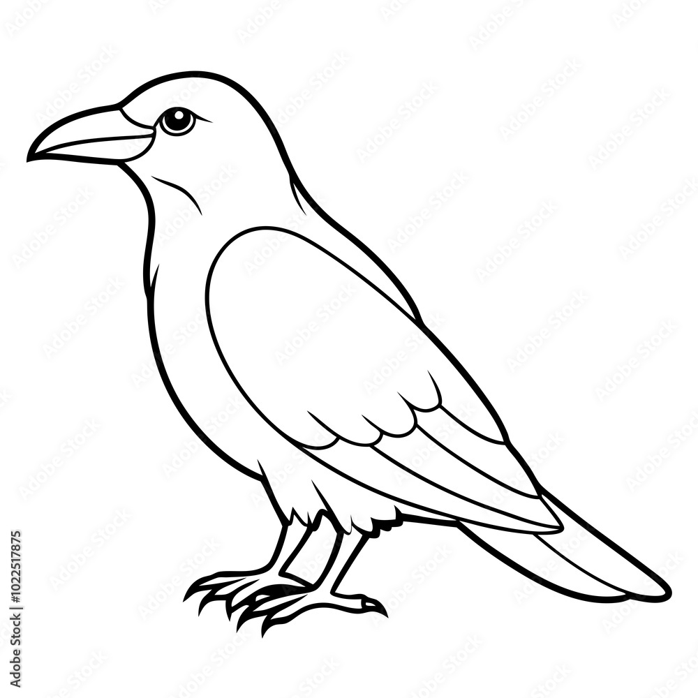 Obraz premium black-crow-sitting