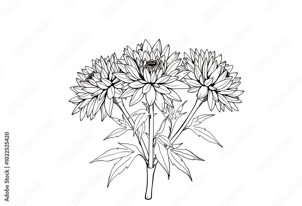 Black and White Line Drawing of a Bouquet of Flowers Black and White Line Drawing of a Bouquet of Flowers