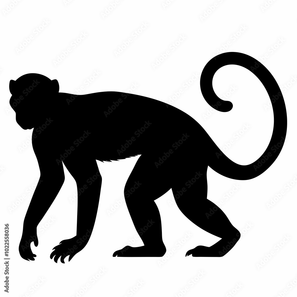 Obraz premium monkey-silhouette-vector-white-background