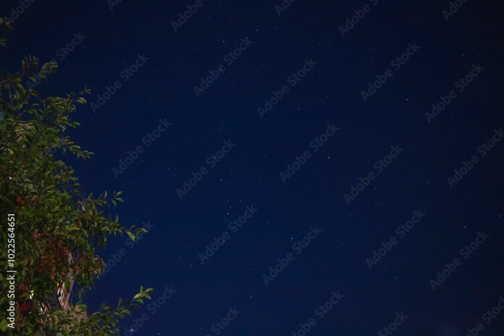 Fototapeta premium Northern Hemisphere Night Sky Photography