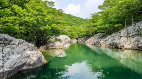 Tranquil green water flows through a narrow, rocky canyon, surrounded by lush greenery.